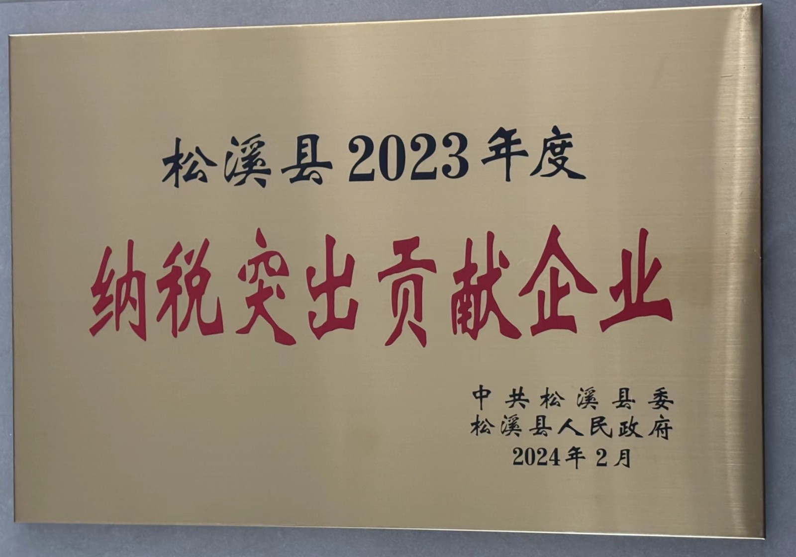 喜報(bào)！易順建工集團(tuán)榮獲“松溪縣2023年度納稅突出貢獻(xiàn)企業(yè)”稱號(hào)